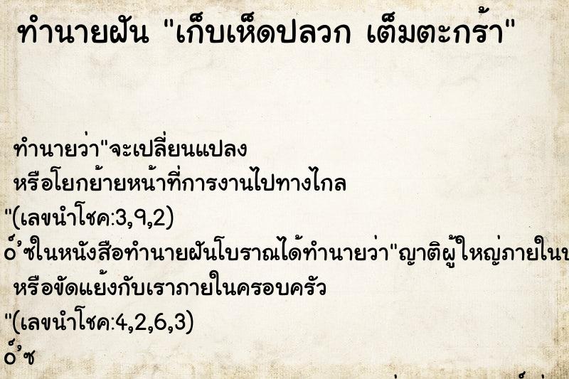 ทำนายฝันเก็บเห็ดปลวกเต็มตะกร้า ทำนายฝันทำนายฝันเก็บเห็ดปลวกเต็มตะกร้า